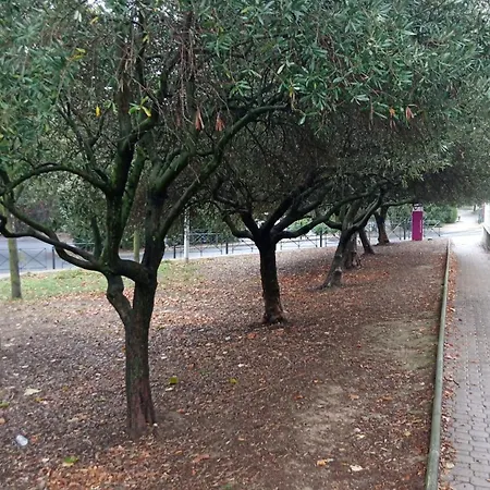 T2 Avec Grande Terrasse Proche Du Departement *